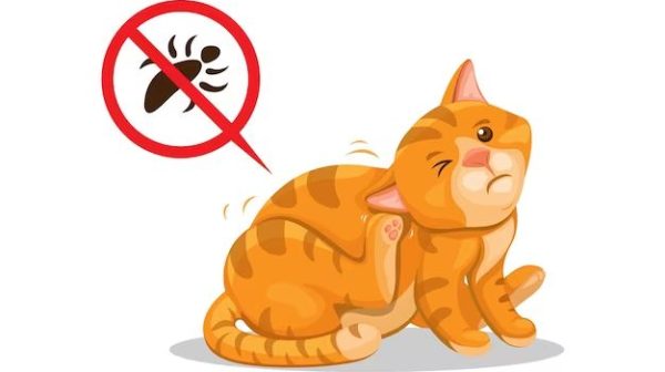 Is ant repellent toxic to cats?