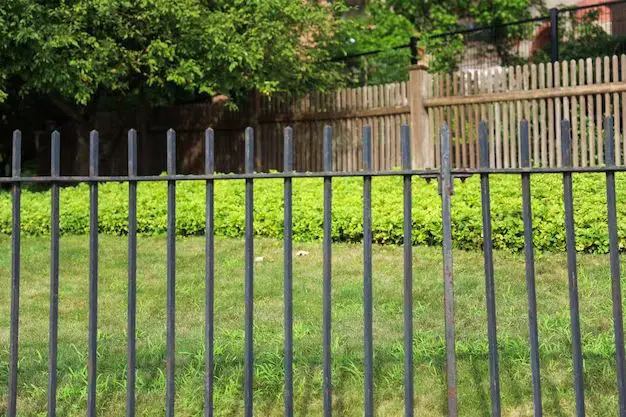 what-is-the-cheapest-privacy-fence-option-the-life-elevation