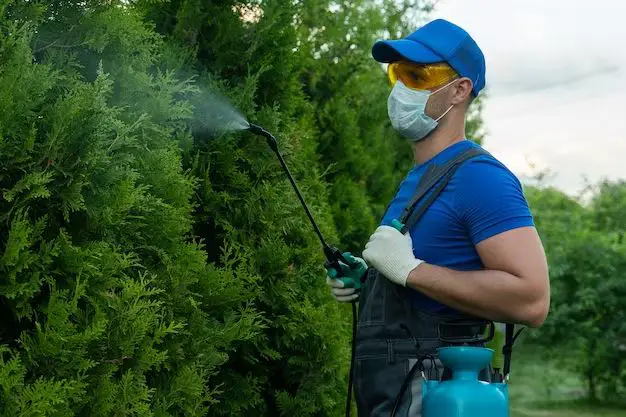 What weed killer is safe around water