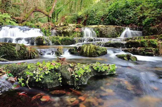 How deep should a waterfall pond be