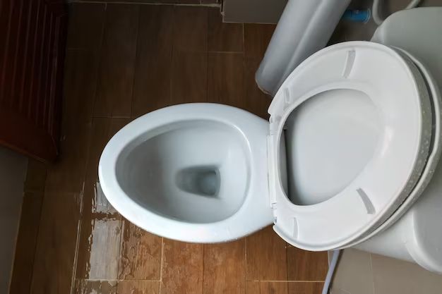 How do you manually flush a camper toilet