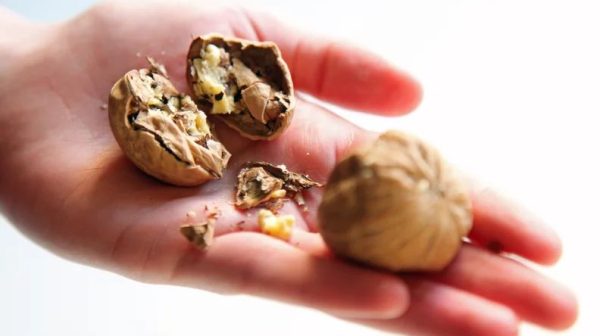 How do you crack open nuts without a nutcracker?