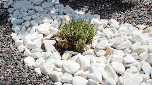 What are the cons of landscaping rocks?