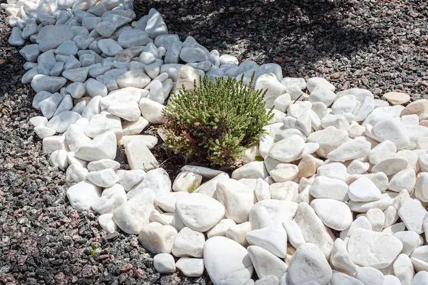 What are the cons of landscaping rocks