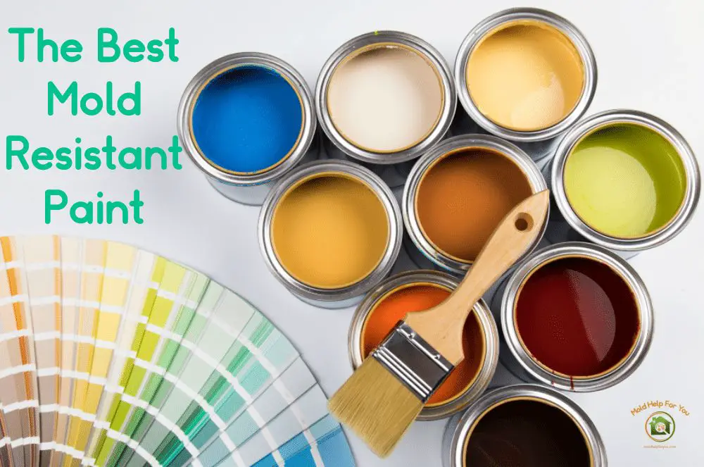 What is the best paint to prevent mold and mildew