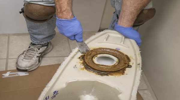 How often do you replace toilet wax ring?