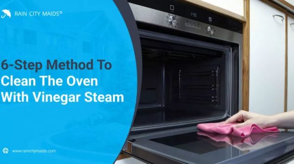 Can you use Dawn and vinegar to clean oven?