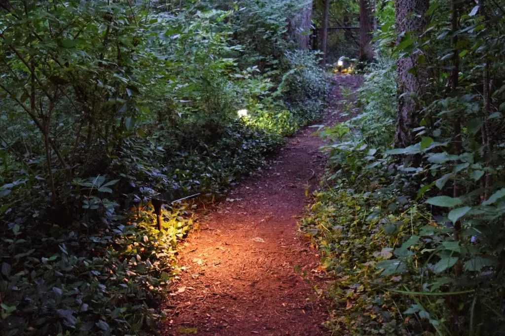 Will solar lights work in the woods