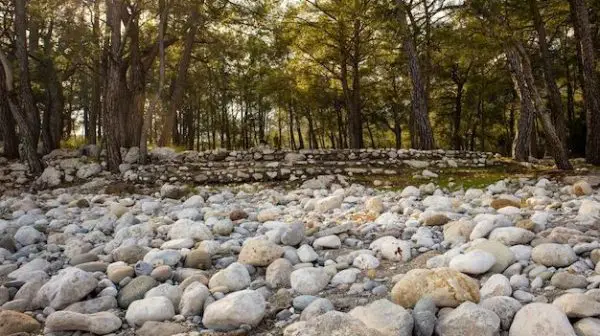 How to decorate a dry creek bed?