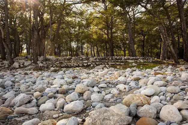 How to decorate a dry creek bed