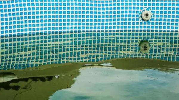 How do you vacuum algae out of an above-ground pool?