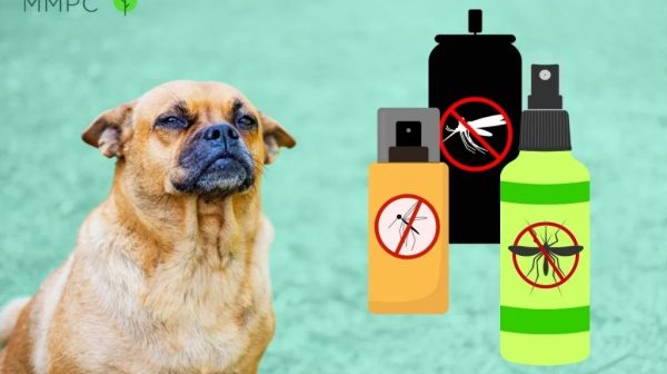 Is yard bug spray safe for dogs?