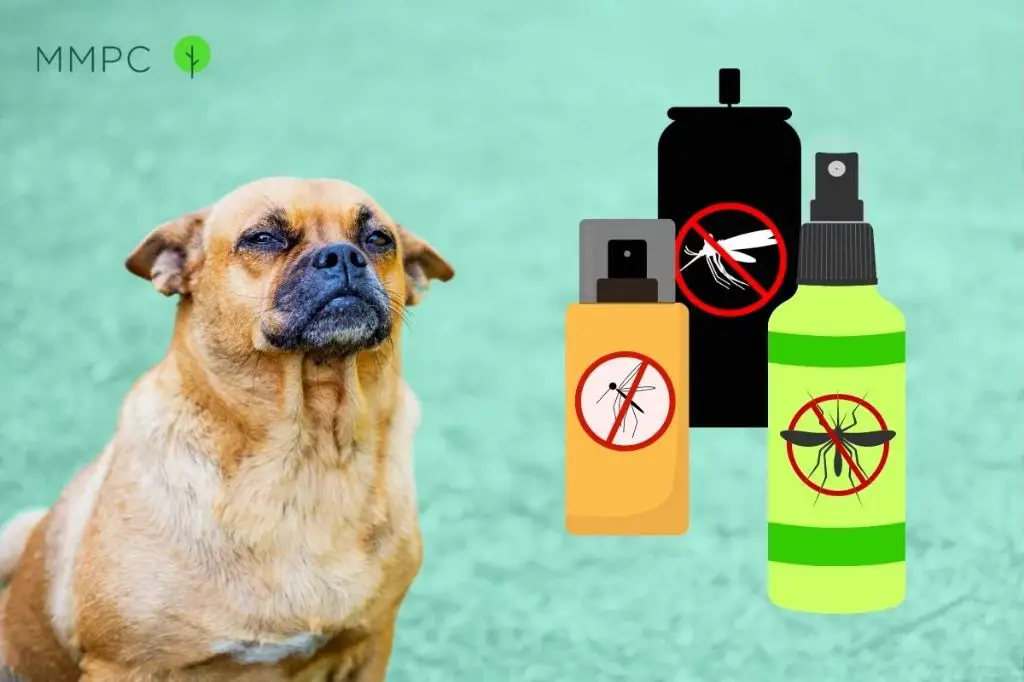 Is yard bug spray safe for dogs