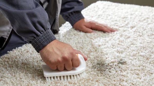 What is best for removing stains from wool carpet?