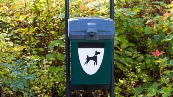 What happens to poo in dog poo bins?