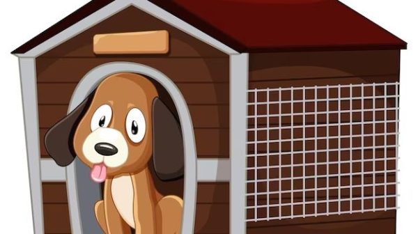 How to design dog boarding kennels?